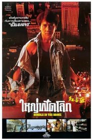ดูหนังออนไลน์ฟรี Rumble in the Bronx (1995) ใหญ่ฟัดโลก